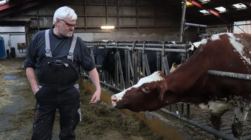 Kjartan Poulsen er formand for Landsforeningen af Danske Mælkeproducenter. Foreningen mener, at der er foregået en del vildledning i forbindelse med Arlas tillæg til klima- og bæredygtighedstiltag. Arkivfoto