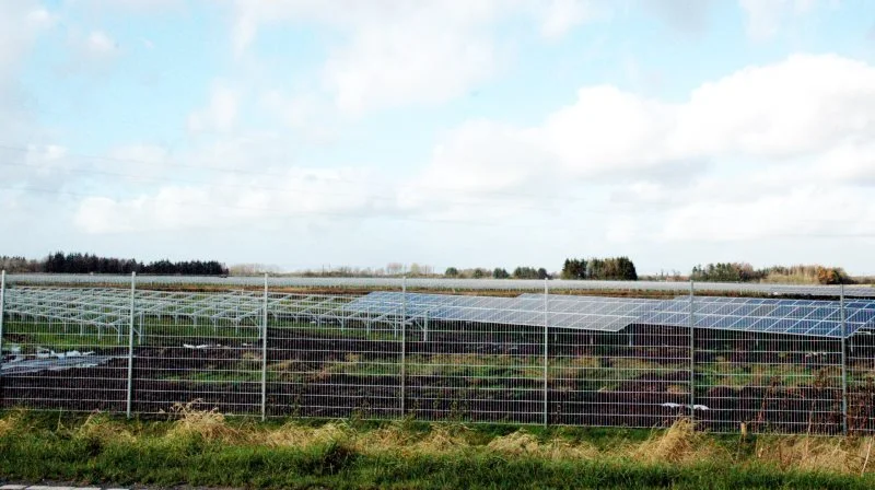 - Hver gang, vi tager landbrugsarealer ud til det ene eller andet, påvirker vi biodiversiteten, skriver Vagn Lundsteen i læserbrevet. Arkivfoto