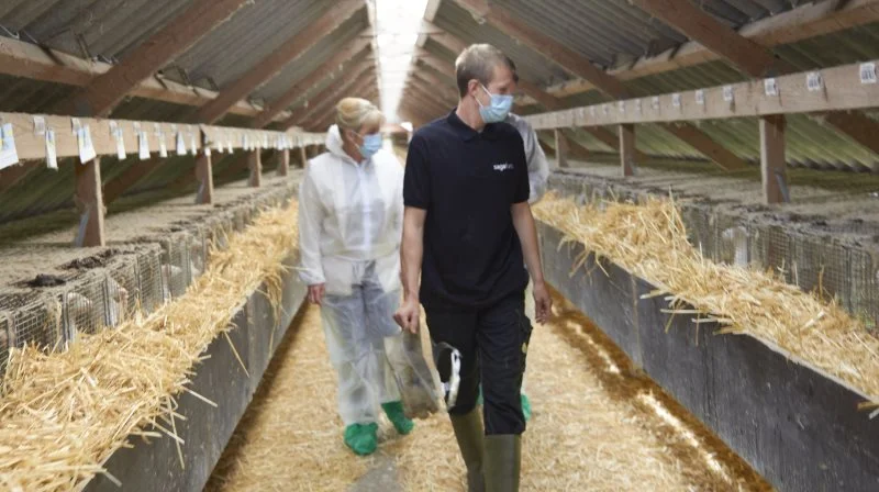 Både Martin Korsbæk og Saga Furs er enige i, at der er mange muligheder for at starte produktion, og at det langt fra behøver at være fuld tid med flere tusinde tæver fra start. Fotos: Tenna Bang
