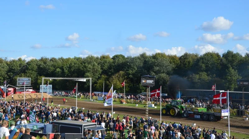 6.500 personer til DM i Tusindårsskoven. Fotos: Camilla Bønløkke