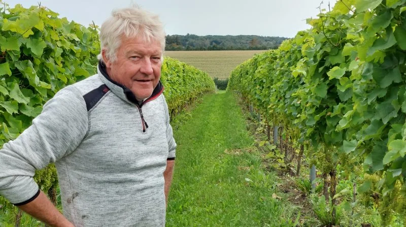 Der kan sagtens produceres hvid- og mousserende vin af høj kvalitet på nordlige breddegrader, fastslår Jan Thrysøe. Fotos: Christian Carus