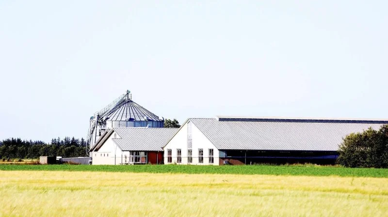 Foto: Colourbox.com