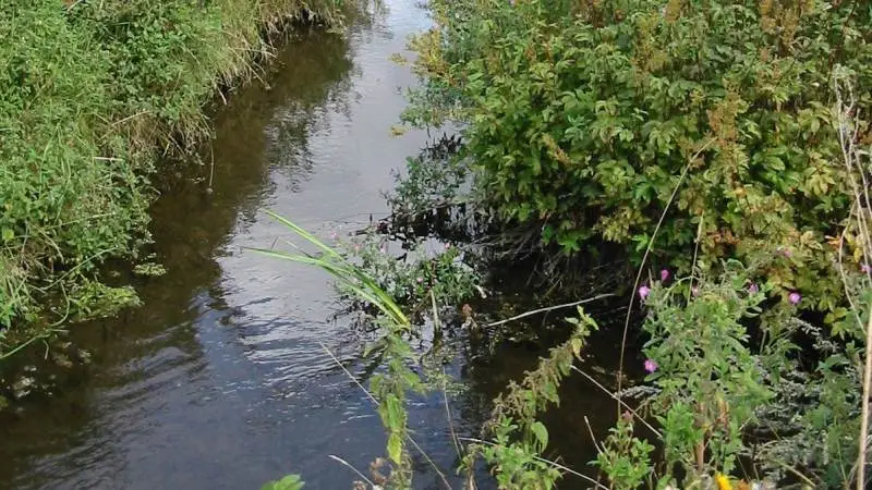 Vær særligt opmærksom på dine vandløb inden høringsfristen udløber, lyder det fra Jens Gammelgaard, formand for Dansk Landbrug Midt-Østjylland, samt hans formandskollegaer i de Østjyske landboforeninger.