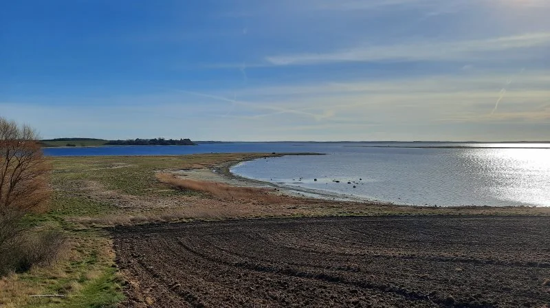 Områder som for eksempel Roskilde Fjord får nu massive krav til efterafgrøder. Foto: VKST