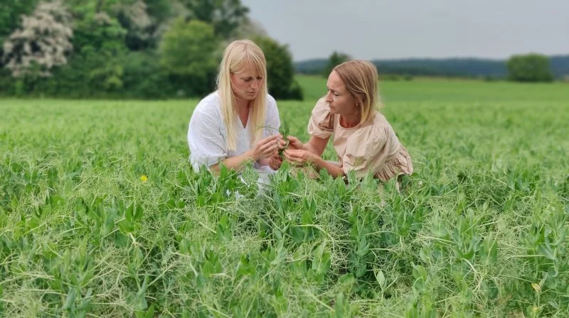 Søstrene Malene (tv.) og Astrid (th.) Søgaard, Djursland, står bag kogebogen "Bælgfrugter", der skal give bælgfrugterne en fremtrædende plads i de danske køkkener – igen. Foto: Ditte Ingemann