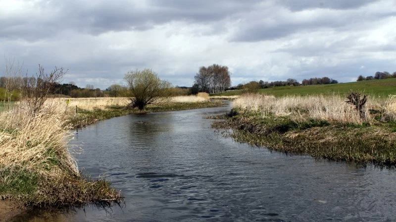 Hvis man skal have en god økologisk tilstand i de indre farvande, vil det kræve en enorm opbremsning af udledningerne af kvælstof, men det vil få store konsekvenser for nogle landbrug, lyder det nu. Arkivfoto