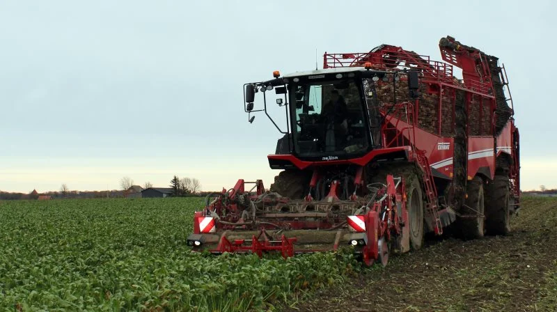 Vejrbetingelserne har langt fra været ideelle i denne sæson, og i november har det været svært at komme i marken. Foto: DLF Beet Seed