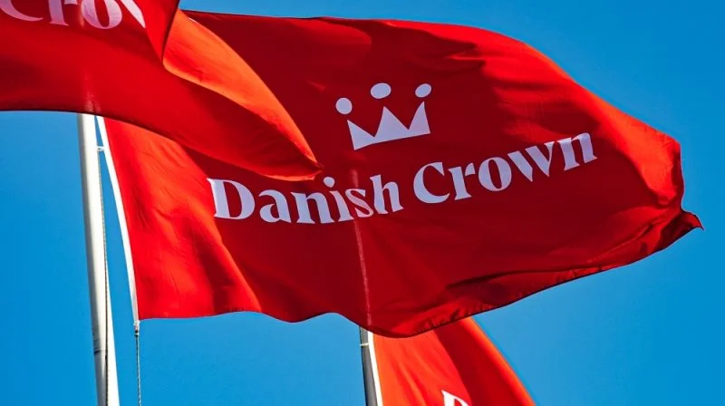 - Jeg vil ikke afvise, vi vil gøre ligesom Arla, hvor man belønner dem i den bedste halvdel, sagde Nicolaj Nørgaard, direktør i Ejerservice, i en sag mod slagteriet omkring Greenwashing ifølge mediet Klimamonitor. Foto: Danish Crown