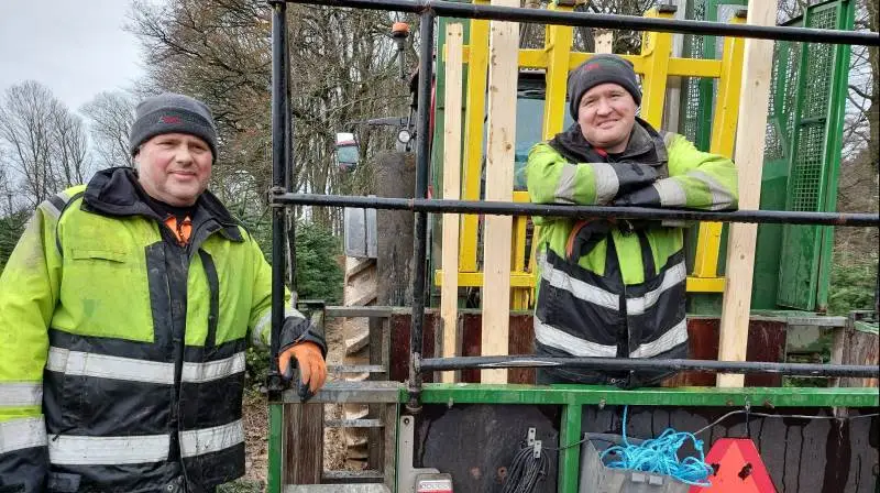 Peter Kjeldsen (th) kører på sin 21. sæson i juletræerne. I år skal der pakkes omkring 20.000. Fotos: Christian Carus