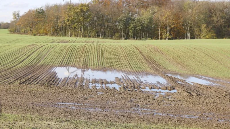 - En løsning kunne være, at staten køber områderne ud fra vurderinger af jordens værdi. Så er der en chance for, at vi kan nå det, inden områderne forsvinder og udleder millioner tons CO2 op i atmosfæren, fortæller Mogens Greve, professor fra Institut for Agroøkologi ved Aarhus Universitet. Arkivfoto: Erik Hansen