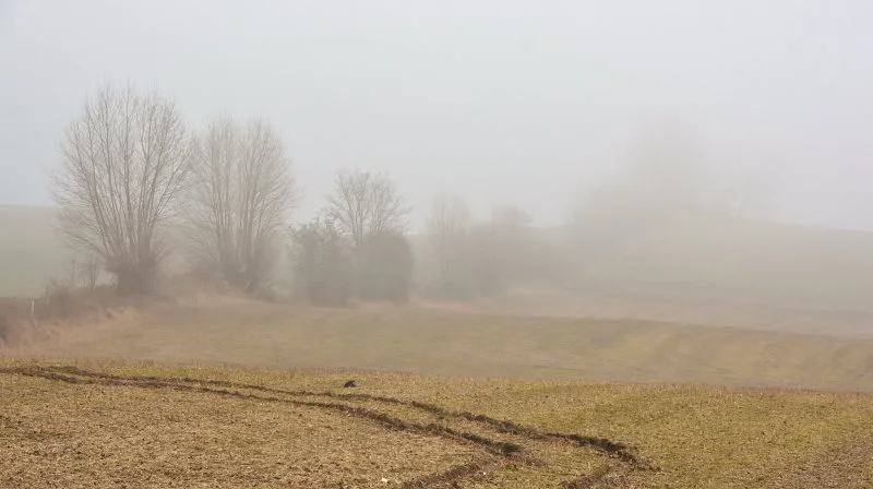 De seneste år har været voldsomme. Krig flere steder i verden har skabt stor usikkerhed på markederne for handel med afgrøder. Det er der umiddelbart ikke tegn til ændring på.