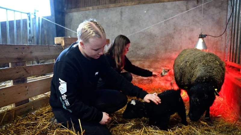 Dalum Landbrugsskole opretter ny 10. klasse på afdelingen i Korinth. Foto: Dalum Landbrugsskole