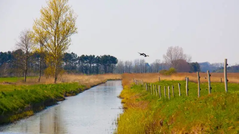Afgørelsen kan få principiel betydning for landbrug i hele Danmark, mener advokat Anker Laden-Andersen ved HjulmandKaptain. Foto: Colorbox