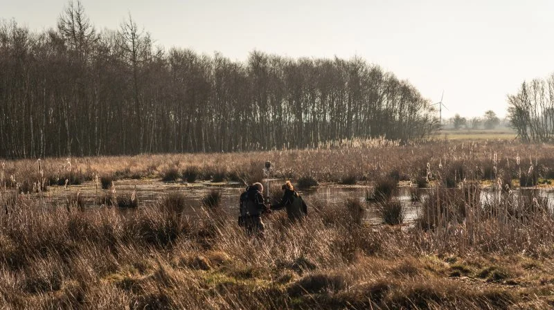 Der er gjort en pæn indsats på klimaområdet i Varde Kommune de senere år. Billedet her er fra 2023 og viser Kvong Mose, der nu er gjort til et vådområde. Arkivfoto: John Ankersen