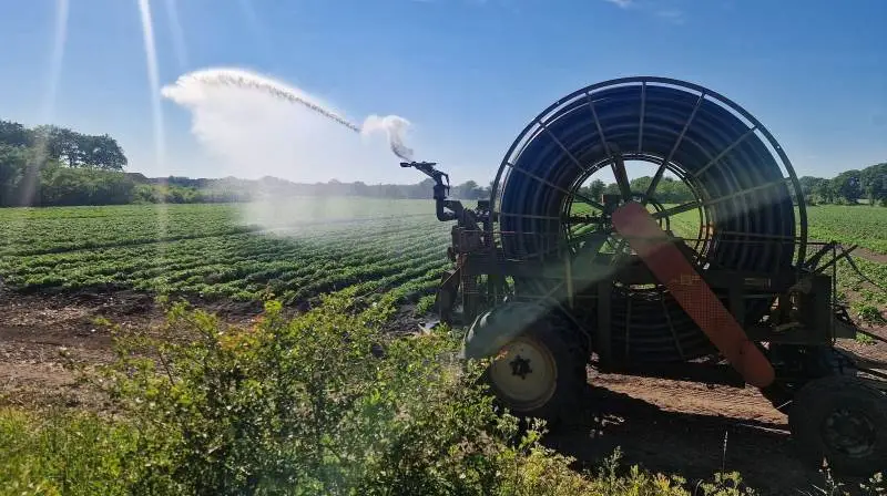 2023 bød på en sommer med høje temperaturer og flere ugers tørke – det gav behov for markvanding og markvandingstilladelser. Arkivfoto