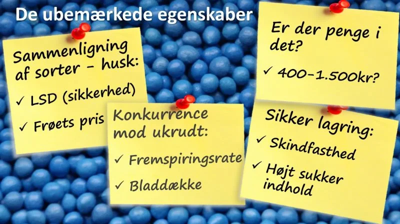 Sukkerroedyrkerne blev blandt andet mindet om de egenskaber, der let kan blive overset i de detaljerede sortsoversigter, der præsenteres.