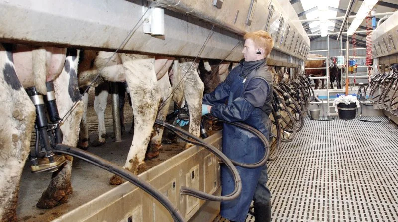 Svarer-udvalget har forsøgt at finde en balance mellem, hvor realistisk gennemførlige deres modeller er, og hvor præcise de er for den enkelte bedrift. Arkivfoto: Anders Kurt Simonsen