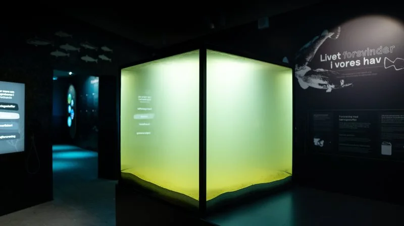 Den nye udstilling rummer blandt andet Danmarks (måske) eneste iltsvindsakvarium. Foto: Kattegatcentret