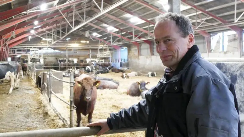 Mælkeproducent og Arla-leverandør Arne Dahl fra Hårslev er skuffet over, at det ikke er lykkedes Arla at holde afregningsprisen til sine danske leverandører i den bedste halvdel blandt Europas mejerier. – Det viser de senere års analyser af de realiserede afregningspriser, som hollandske Rabobank foretager, siger han.