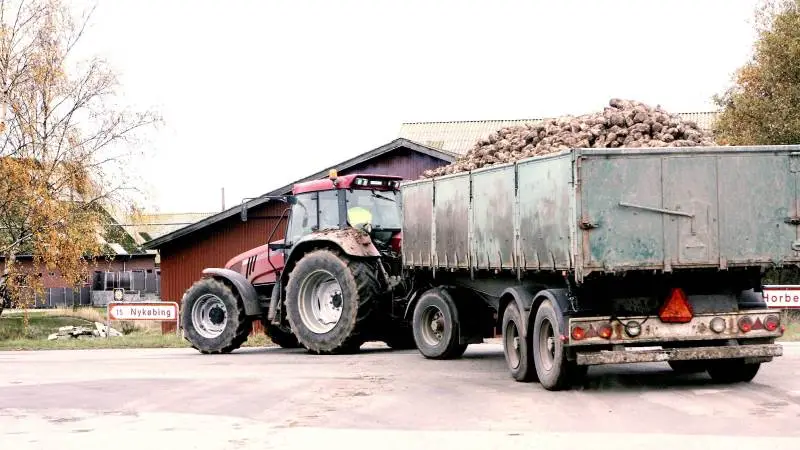 Landbrugsstyrelsen og Nordic Sugar har på www.lbst.dk lavet en liste over de sukkerroedyrkere, som har penge til gode. Arkivfoto: Erik Hansen