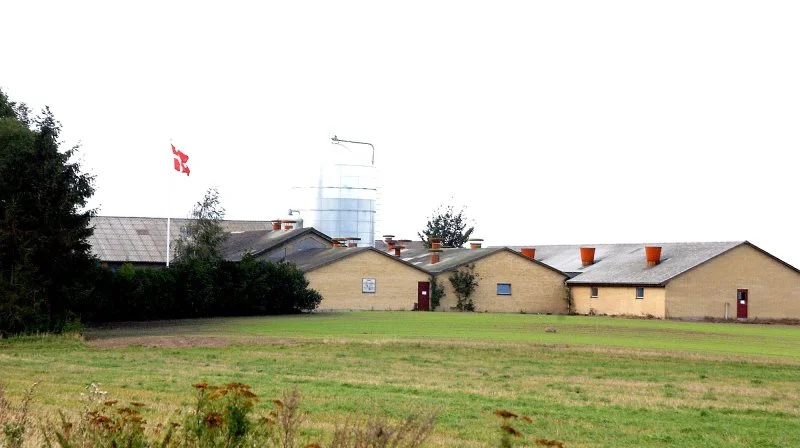 Sammen med Bæredygtigt Landbrug vil Danske Mælkeproducenter og Danske Svineproducenter kæmpe imod indførslen af en CO2-afgift på landbrugets biologiske processer, oplyser Danske Svineproducenter. Arkivfoto