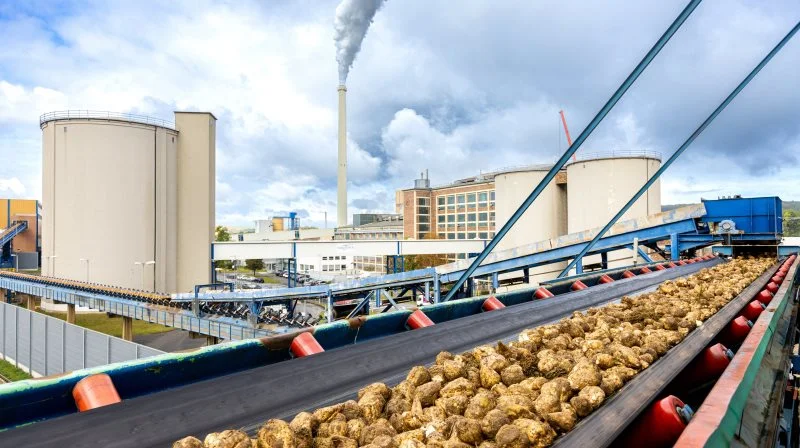 Foto: Südzucker