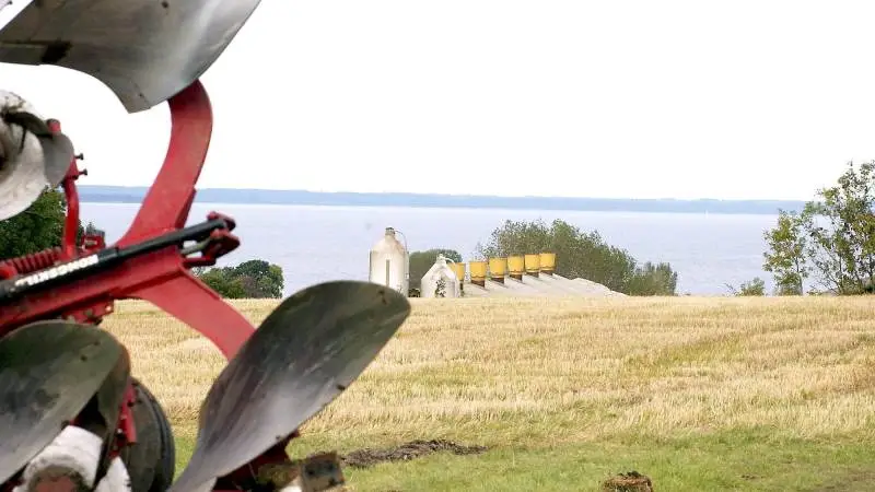 Når en miljøkonflikt skal afklares i retten, har den, der giver sig ud for at varetage miljøets interesse, automatisk en højere moral. Dommere er ganske almindelig dødelige ligesom alle os andre, skriver Jørn Rasmussen. Arkivfoto