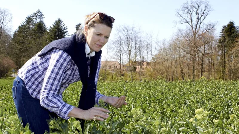 Anne Sophie Gamborg er udpeget til bestyrelsesformand for Naturnationalpark Mols Bjerge. Arkivfoto