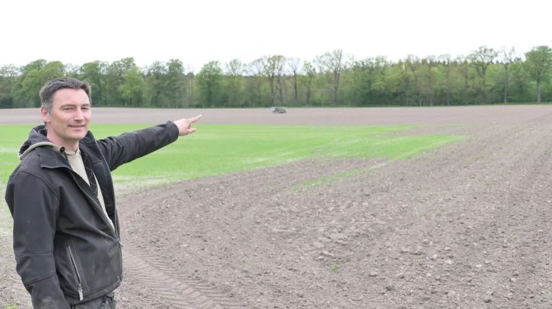 Selvom Farmdroiden passer sig selv og kommunikerer med omverdenen gennem en app, tillader Steen Andersen sig alligevel på analog vis at tjekke, om roefrøene nu også er placeret korrekt. De ligger godt og fint i sårillen med en indbyrdes variation i frøafstand på 1,0 millimeter. Fotos: Bøje Østerlund