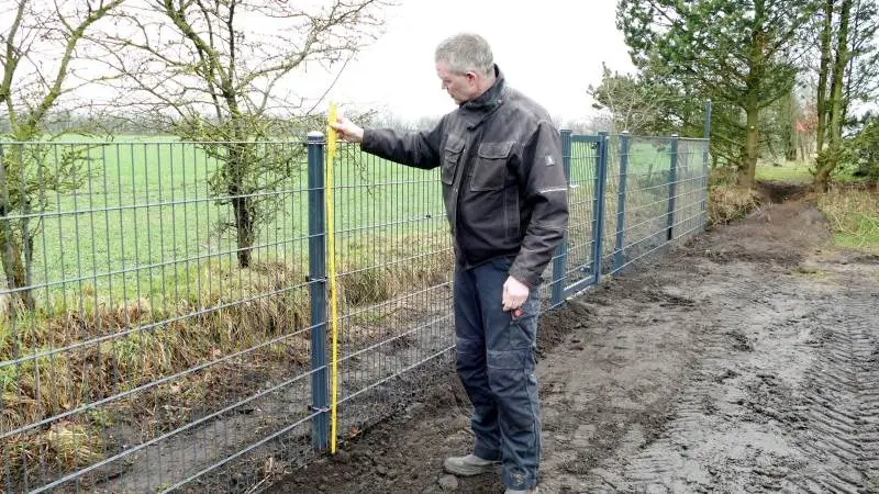 Hegnet fungerer stort set kun som en barriere for vildsvin. Kronvildt, dåvildt, råvildt og mennesker kan nemt passere, og så bliver der klippet huller til ræve og harer i hegnet, så småvildt også kan passere. Foto: Bøje Østerlund