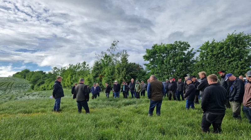 Stort fremmøde ved Frøavlerforeningen for Fyn og Langelands markvandring med start ved Holstenshuus Gods nordøst for Faaborg. Fotos: Kristoffer Boye Larsen, Velas
