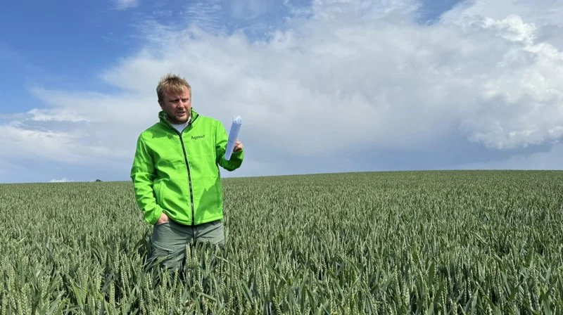 Planteavlskonsulenten understreger, at det er marginaler, som adskiller de ti såmaskiner, der blev afprøvet ved Gyllingsnæs. Både ved måling af biomasse i marts og ved optælling af aks. Fotos: Kasper Stougård