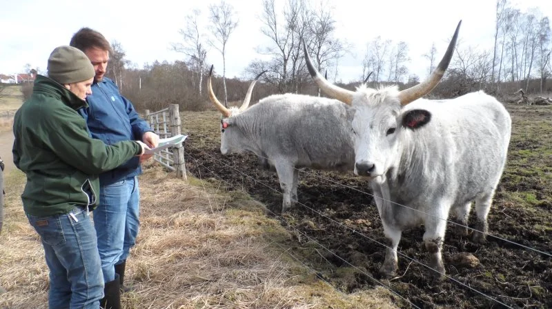 På billedet: Økologirådgiver Søren Lykke-Jensen, ØkologiRådgivning Danmark, (forrest). Arkivfoto