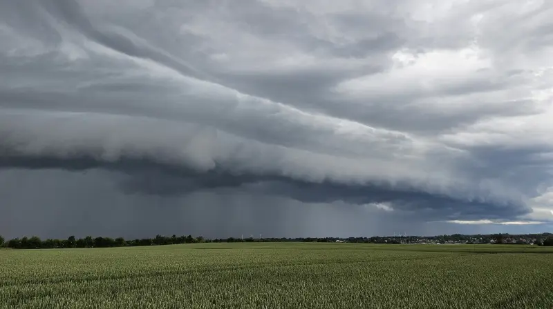 Det kan være lynnedslag eller en hybrid trussel, der fører til, at forsyningen rammes. Porcus-dyrlæger anbefaler, at der altid ligger en beredskabsplan for bedriften klar i forhold til strømafbrydelser. Foto: Camilla Bønløkke