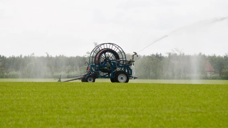Tønder og Aabenraa kommuner er to af de største landbrugskommuner i Danmark, men håndterer tilladelser til markvanding vidt forskelligt. Foto: Spiras