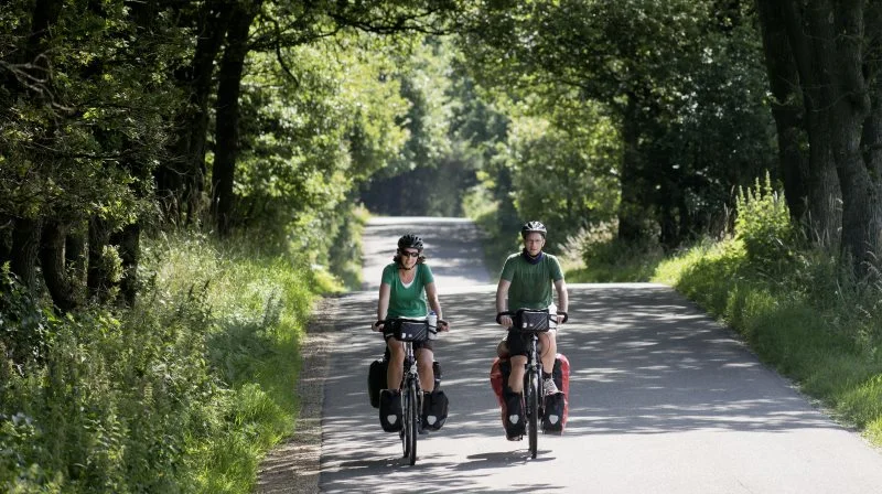Her ses et stykke af Hærvejen i Region Syddanmark. Foto: Mads Hansen