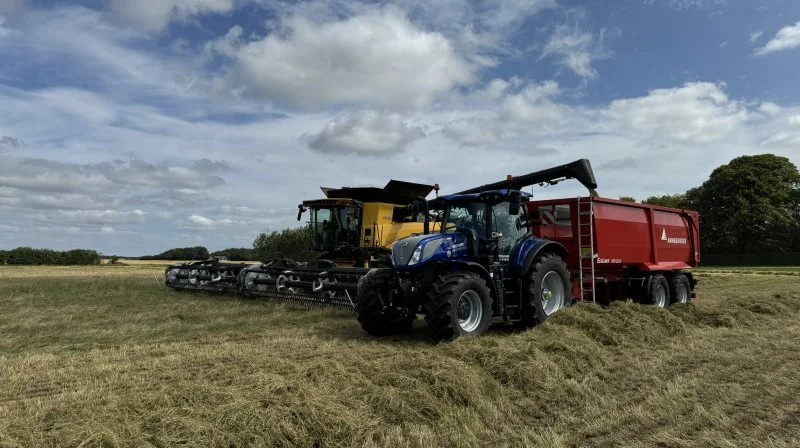 Da mejetærskeren startede onsdag morgen, manglede der 12 af 34 hektar almindelig rajgræs. Når det er overstået, går høsten videre i rapsen på Risgaard. Fotos: Kasper Stougård