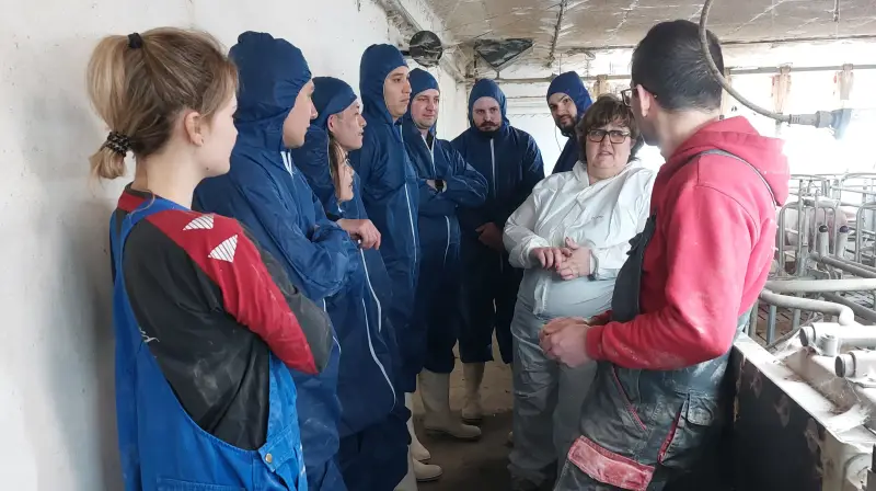 VKST har i forvejen erfaring med kurser afholdt i stalden. Her fra en erfagruppe afholdt med Jette Sandager, griserådgiver i VKST. Foto: VKST