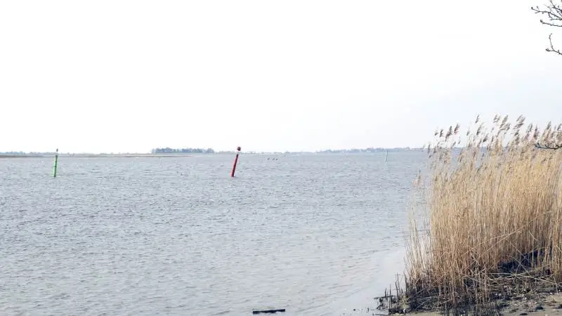 Næstved Havn står for oprensningen af sejlrenden og har af Miljøstyrelsen fået tilladelse til at dumpe 28.000 kubikmeter af det ildelugtende slam i Karrebæk Fjord. Foto: Jesper Hallgren