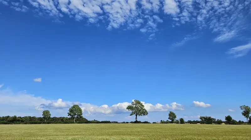 Landbrugets helte og de unge mennesker med visioner for det gode liv på landet skal hædres. Arkivfoto: Camilla Bønløkke