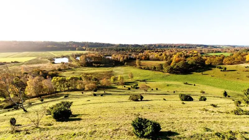 Frivillige aftaler med private lodsejere skal føre til naturgenopretning til glæde for både landmænd og besøgende i Læsten Bakker.