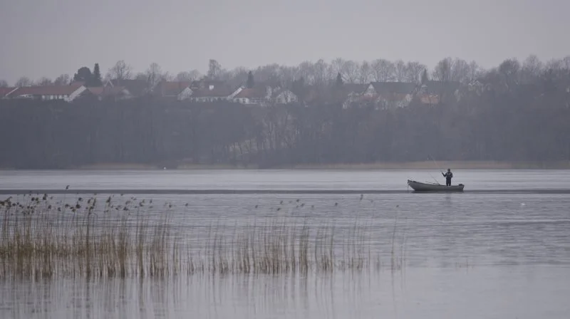 Der har været udbredt iltsvind i de indre danske farvande i år, viser en ny rapport. Foto: Colourbox