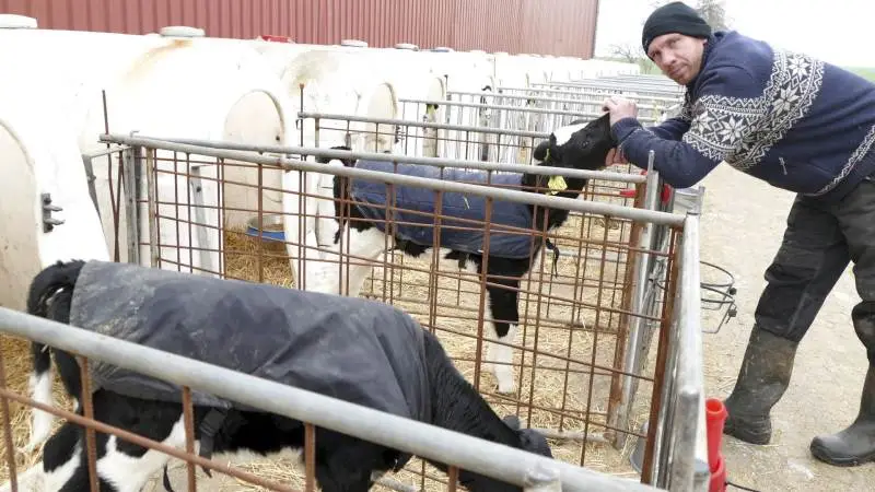 Mælkeproducenten Michael Andersen vil tiltrække byfolk til Tøvestensgaarden vest for Slagelse. Foto: Bøje Østerlund