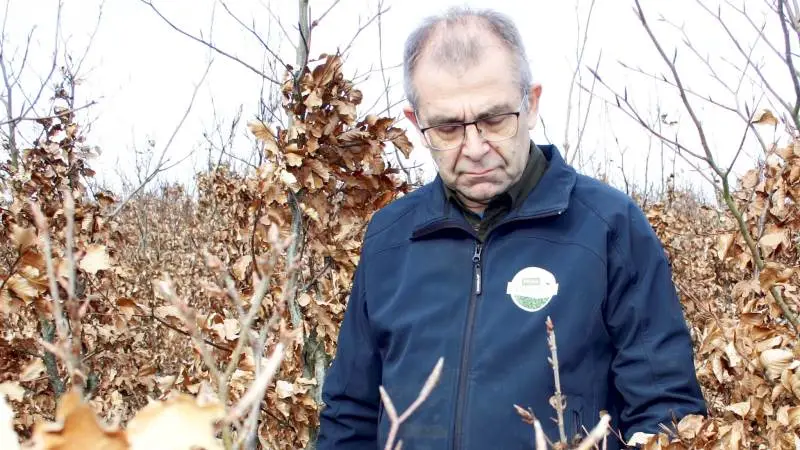 - Jeg vidste ikke, om ideen ville slå an, men vi fik lavet en god markedsføring, og siden er virksomheden vokset år efter år, fortæller planteskoleejer, Lars Strarup, som producerer færdige hækplanter under varemærket Prima Færdig Hæk.