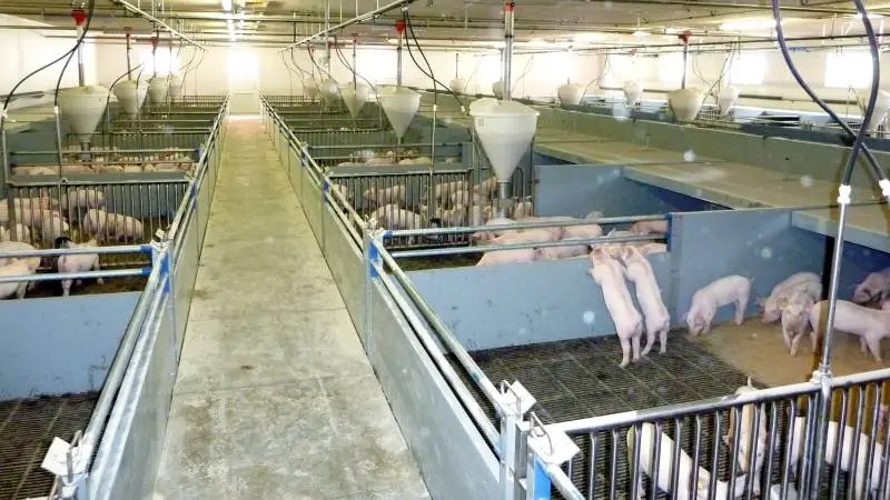Søren Christoffersen, der er servicetekniker hos KJ Klimateknik, oplever ofte, når han er ude at foretage servicetjek, at anlæg enten er udstyret forkert, eller at man har haft travlt med at lappe med gaffatape og ståltråd. Pressefoto