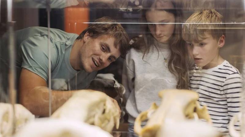 . Med »Vilde vidunderlige verden«, har vi fået en flot udstilling med et spændende værksted, hvor hele familien kan få oplevelser, som dem man fik på Zoologisk Museum, siger Nina Rønsted, museumsdirektør for Statens Naturhistoriske Museum. Foto: Andreas Haubjerg, Statens Naturhistoriske Museum