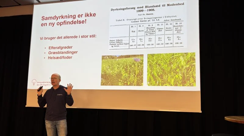 Jesper Fog-Petersen viste forsøgresultater for samdyrkning af bælgsæd fra starten af det 20. århundrede, og han understreger, at der er et kæmpe potentiale her mere end 100 år senere. Foto: Kasper Stougård