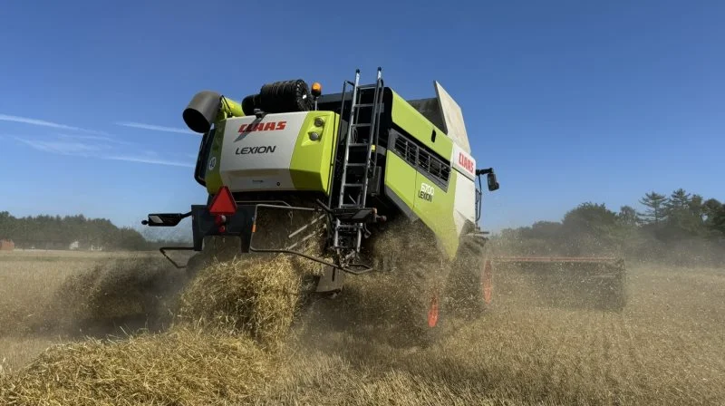 I de konventionelle Carbon Farm-forsøg har man med opnået samme eller højere udbytte ved reduceret jordbearbejdning sammenlignet med pløjning. Arkivfoto: Kasper Stougård