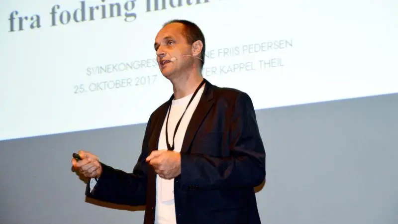 - En faring er en energikrævende proces pga. de intense sammentrækninger i livmoderen samt belastning af mavemuskulaturen. Derfor er tilstrækkelig tilførsel af netop de energisubstrater, som livmoderen bruger under faring, særligt glukose og triglycerider, vigtig i forhold til at levere »brændstof« nok og dermed sikre en kort faring og minimere dødfødte grise hos højtproducerende søer, forklarer Peter Kappel Theil, Institut for Husdyrvidenskab, Aarhus Universitet. Arkivfotos