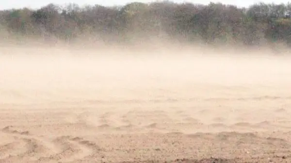I denne uge var der kraftig jordfygning i flere marker, som her på Falster i tirsdags. Foto: Agricenter, Nordic Sugar